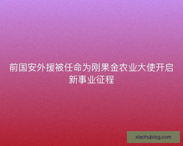 前国安外援被任命为刚果金农业大使开启新事业征程
